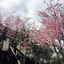 Spring Ground B&B