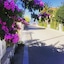 Splendido Bay Hotel 4*
