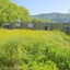 Barrica Lodge