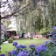 B&B Willow Lodge