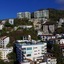 D Terrace Luxury Residences