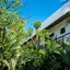 Pacha Tulum Boutique Hotel