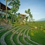 Jiwa Jawa Resort Ijen