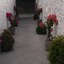 Greentree Villa