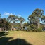 Glenaire Apartments On Frazer St