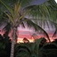 Palmerston Sunset Retreat
