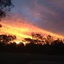 Cooee Motel