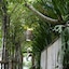Home 5 Bedrooms, Ubud