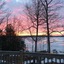 Maple Grove Cottages