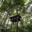 Pepper Trail