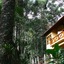 Chalé Da Floresta
