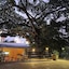 Icarai Suites