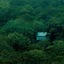 Wayanad Wild Rainforest Lodge By Cgh Earth
