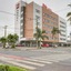 Ibis Paranagua