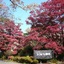 Hotel Laforet Nasu