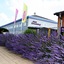 Hotel Lavendelhof & Eselhof Nauen