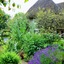 Tudor Cottage Bed & Breakfast Dorchester