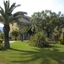 Auberge Les Oliviers