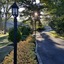 Starlight Lodge Cape Cod