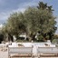 Tenuta Del Lauro