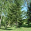 Camping Rio Verde