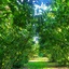 B&B Naturin - Cascina Colombaro