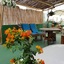 Cactus Host