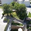 Bc Apartments