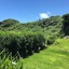 La Casita Kouri Island