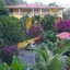 Hibiscus Heights