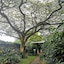 St Lucia Wilds
