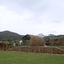 The International Cultural And Creative Bamboo Village