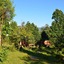 Kalsee Eco Lodge