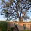 The Tree Of Life Resort & Spa, Varanasi