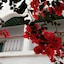 Hotel Arisha