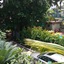 Manuela Residente Resort