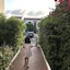 Posidonia Apartments