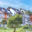 Shola Crown Resort - Munnar