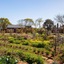 The Village At Botlierskop