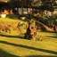 Villa Calas