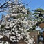 Inagaki Onsen Hotel Kagetsutei