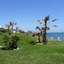 Apartment Playa De La Lucera
