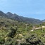 Villa Cas Decu