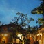 Ubud Tropical
