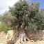 Agroturismo Can Prats