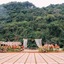 Hoi Lake Farmstay