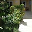Caner Hotel