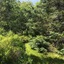 Moose Lodge And Cabins By Bretton Woods Vacations
