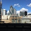 Still Life Tower Hill Executive