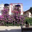 Apartmani J&R Babara